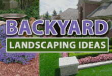 Backyard landscaping ideas