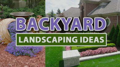 Backyard landscaping ideas
